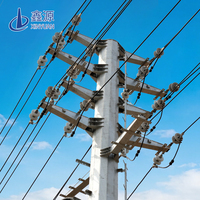 Tour de ligne de transmission 5M-50M 200kV Q235/Q358/Q420, tour monopoteau autoportante