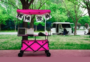 Carrito <span class=keywords><strong>de</strong></span> Camping Plegable <span class=keywords><strong>con</strong></span> Toldo y Protección Solar - Product Image 4