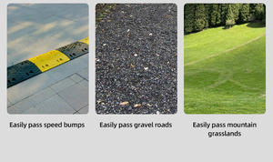 รถตุ๊กตุ๊กสามล้อ 2901 แบบมีที่นั่งสองแถว ใช้เชื้อเพลิงเบนซิน สำหรับโดยสาร - Product Image 6