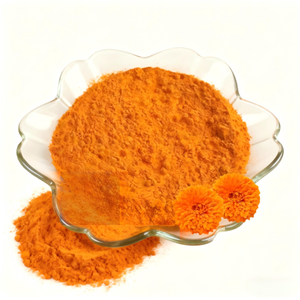 Complément alimentaire OEM <span class=keywords><strong>Xanthophyll</strong></span> Lutéine Floraglo Extrait pur de graines de souci de qualité alimentaire en poudre Complément pour les yeux - Product Image 5