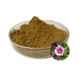 High Quality Marshmallow Root Extract Powder 10:1 Marshmallow Extract Powder Marshmallow Root Extract