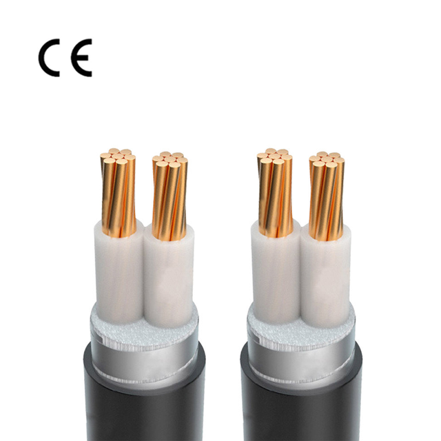 Factory 4mm2-120mm2 XLPE Fire Rated Underground Cable ZC-YJV 2*10 with Copper Conductor Material