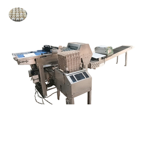 15000 Eggs Per Hour Egg Processing Line Multi lane Egg Grader Electronic Egg Grading Machine - Product Image 5