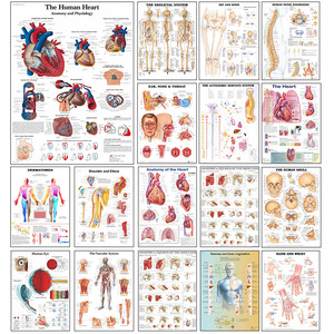 Ensemble d'affiches sur toile d'anatomie humaine - Cartes du cœur, du squelette et des organes musculaires pour l'enseignement et la démonstration en classe, à l'hôpital et en milieu médical - Product Image 1