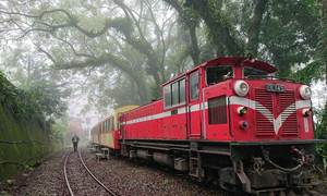 Envío Ferroviario Económico y Transporte en Tren desde China a Francia, Reino Unido, Alemania, Países Bajos, Top 10 Transitarios, <span class=keywords><strong>Seguro</strong></span> Incluido - Product Image 6