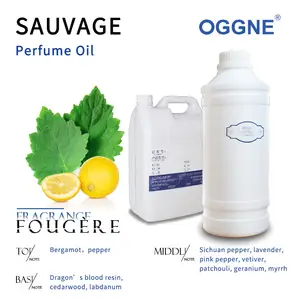 OGGNE Arabic Perfume Oil Wholesale Free Alcohol Oil Perfunes France With High Concentrate In Dubai