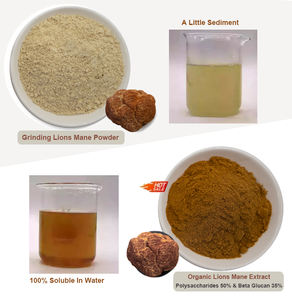 ผงแผงคอสิงโตผงแผงคอสิงโตออร์แกนิกบริสุทธิ์จำนวนมาก - Product Image 3