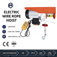 Mini palan électrique monophasé sans fil CE, longue durée de vie, anticorrosion, résistant à l'usure, 110V 220V - Prix