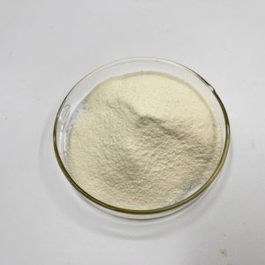 TG Enzyme for Food Additive <b>Proteins</b> Cross-linking As Natural Meat Binding Enzyme Transglutaminase Enzyme - Product Image 2