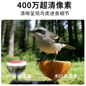 Caméra d'alimentation pour oiseaux intelligente 2K Ultra HD avec reconnaissance IA, alimentation solaire, étanche IP65, support détachable - Product Image 4
