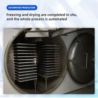 Liofilizador TT de 10 kg, 50 kg, 100 kg, 200 kg, 500 kg y 2000 kg para Verduras, Frutas, Leche, Lácteos, Alimentos para Mascotas, Carne y Viales, Máquina de Secado por Congelación
