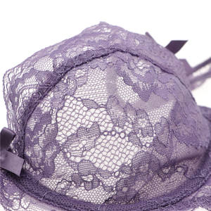 Großhandel 2 Stück Blumen stickerei Dessous Sexy Spitze BH und Höschen Transparent Mesh Sexy Unterwäsche Damen Dessous - Product Image 5