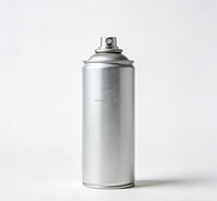 Vente en gros de flacons aérosols vides en fer blanc de 45/52/57/60/65/70/80 mm pour bombes aérosols, boîtes de conserve vides