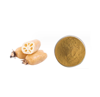 Poudre d'extrait de racine de lotus de qualité alimentaire 10:1 30:1 50:1 Extrait de racine de Nelumbo Nucifera à base de plantes pour boissons et aliments santé