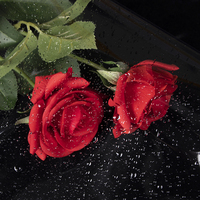 Rouleau de cellophane imperméable épais 4.7S, haute transparence, film d'emballage pour bouquets de fleurs, vente en gros, plusieurs tailles