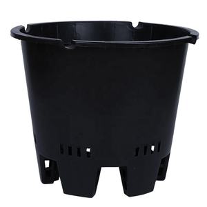 Conteneur de serre pour cultiver des plants de fraises, de tomates et de bleuets de pots de fleurs et de jardinières - Product Image 1