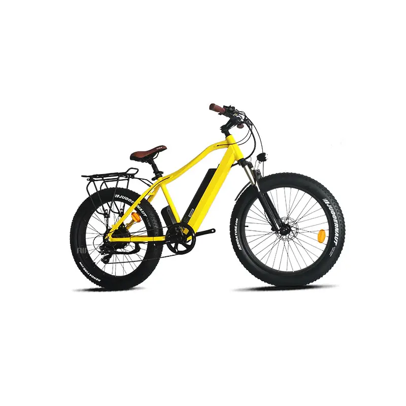 2021 Hot Selling Dual 26inch Rear Brushless Hub Motor Adult Fat Ebike For Wholesale
