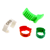 Anneaux de pied de volaille réglables multicolores Anneau de jambe de poulet Anneaux de pied rétractables flexibles pour la volaille