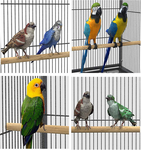 Cackatiel-jaula de hierro forjado para loros, canario, Pinzón, Lovebird, palomas, Quaker, color gris, Soporte rodante - Product Image 5