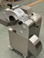 Multifunctionele Kubussnijmachine Automatische Groente-En Fruitsnijmachine Aardappelui Champignonpitaya