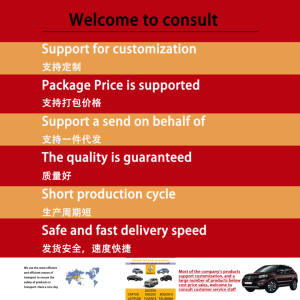 WIRLGING.KoleosQM5. Para los modelos <span class=keywords><strong>Koleos</strong></span> y Kadjar. Piezas - Product Image 6