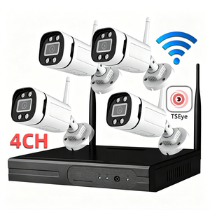 Système de caméra CCTV Wifi TSEye 4CH 1/2/5MP, vision nocturne couleur, détection de mouvement, caméra de sécurité réseau étanche IP67 - Product Image 1