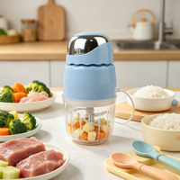 Robot culinaire électrique pour bébé, hachoir compact facile à nettoyer, mixeur pour nourrissons, hachoir de cuisine domestique pour aliments complémentaires pour bébés