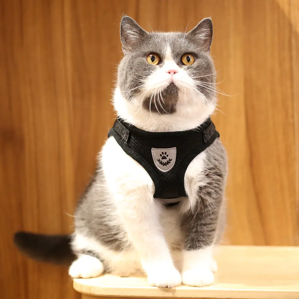 Pet Dog Cat regolabile riflettente metallo Nylon pelle tela imbracatura cucciolo piccolo medio grande Pet Dog Cat Harness