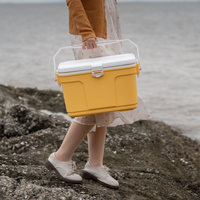 Glacière isotherme 13 L avec poignée, personnalisable avec logo sérigraphié, durable, pour activités de plein air - Vente en gros usine