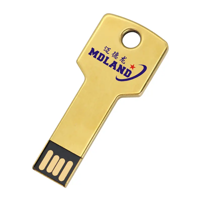High quality Alloy Metal Custom Print Logo USB Memory Stick Pendrive Key Shape USB Flash Drive With Key Holder