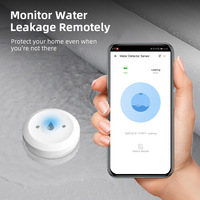 Détecteur de fuite d'eau EWeLink, capteur compatible Zigbee avec prise en charge 2MQTT et contrôle par application pour la détection des inondations