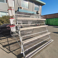Nuevo gallinero de acero galvanizado tipo A para 1000 aves, jaula de malla flexible para gallinas ponedoras, fabricación de 2 años de duración