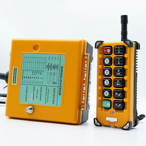 Grúa aérea industrial anticorrosión con control remoto, polipasto de cuerda de alambre de entrega rápida, con control - Product Image 6