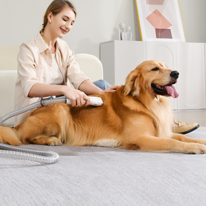 <span class=keywords><strong>Aspirateur</strong></span> de kit de toilettage de <span class=keywords><strong>poils</strong></span> d'<span class=keywords><strong>animaux</strong></span> de 2,5 L-épilateur rechargeable sans fil pour chien et chat - Product Image 6