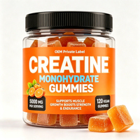 Gommes à mâcher à la créatine 5g monohydrate par portion Taurine Alpha GPC Sans mélange nécessaire Sans sucre 120 gommes pour l'énergie des hommes