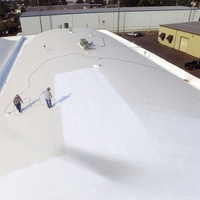 Isolation thermique antirouille anti-chaleur Peinture de refroidissement réfléchissante Matériaux d'étanchéité pour une protection efficace contre la chaleur du toit