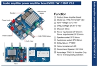 VIRE 100W Mini amplificateur haute puissance basse Mono canal carte amplificateur numérique TPA3116 classe D Module caisson de basses numérique Audio