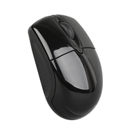 Souris sans fil LED 2,4 GHz avec nano-dongle, mini-design, compatible USB 2.0, suivi optique, 3 boutons, 1000 DPI, ergonomique, sur batterie