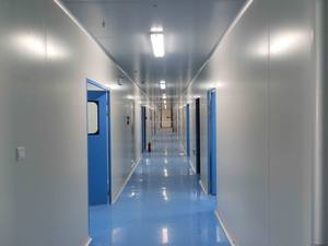 ממתיק טבעי בדרגת מאכל, סורביטול, תחליף סוכר באבקה, CAS 50-70-4 - Product Image 5