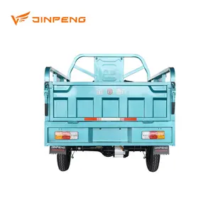 Jinpeng Jbiiu150a Maatwerk Cargo 3 Wielen Big 60V 1000W Triciclo Electrica Elektrische Driewielers Benzine-Elektrische Hybride