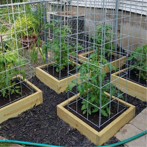 Resistente acciaio zincato gabbia di supporto di pomodoro quadrato resistente pianta da giardino ad alte prestazioni rivestimento in polvere imballaggio in scatola - Product Image 3