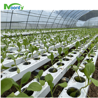 Canaux NFT en PVC de haute qualité pour la culture de légumes en serres agricoles, équipement de système hydroponique