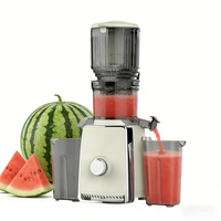 Super Hot Juicer 130MM Grote Diameter Netvrije Snijder voor Sapresten Scheiding Zuivere Sap 500W ABS