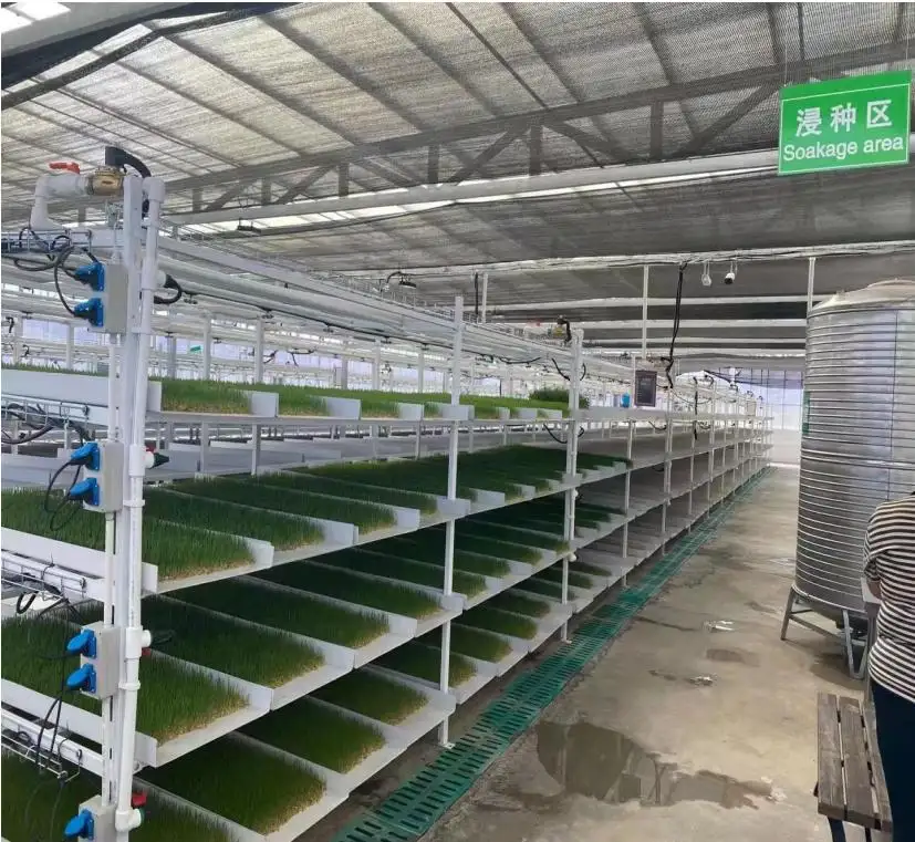 Lyine 3-1 Indoor-Garden Mikroschalenpflanzung Keimen hydroponischen Futterschalen mit LED-Lichtern automatisches Anbausystem