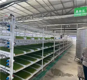 Lyine 3-1 kapalı bahçe mikroyeşil dikim Germinate Hydroponic yem tepsileri ile büyütücü LED lamba otomatik büyüyen sistemi