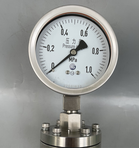 Manómetro de Diafragma con Brida Roscada Tipo DN25 DN50 de Acero Inoxidable con Absorción de Impactos 100-149 PSI - Product Image 6