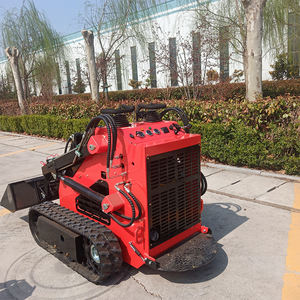 Carregadeira Compacta Multifuncional a Gasolina e Diesel para Casa, Fazenda e Jardim - Product Image 2