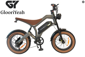 GYebike GYD2020 Dirt Bike With <b>Battery</b> 48v 750w 20nch and Front Fork With Front and Rear Disc - Product Image 2