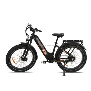 US warehouse only electric bikes ebike bicycles bike recruitment with good quality