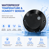 Capteur de température et d'humidité sans fil industriel DT313 IP68, dispositif extérieur LoRaWAN NB-IoT pour station météo